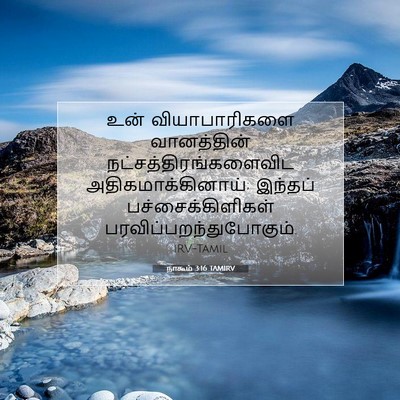 Picture 07 - நாகூம் 3:16 TAMIRV - உன் வியாபாரிகளை - Bible Verse Picture