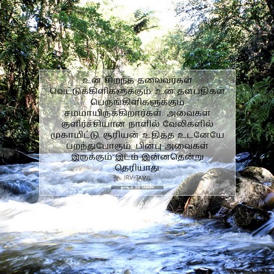 Picture 07 - நாகூம் 3:17 TAMIRV - உன் சிறந்த - Bible Verse Picture