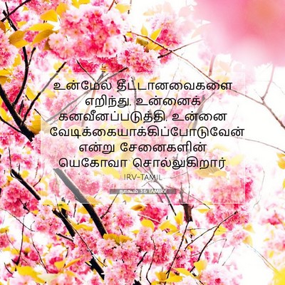 Picture 07 - நாகூம் 3:6 TAMIRV - உன்மேல் - Bible Verse Picture