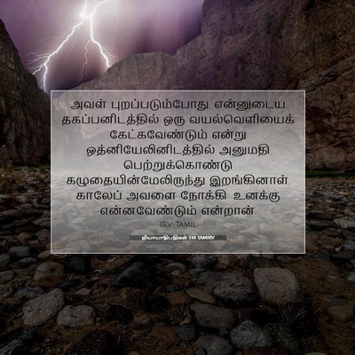 Picture 07 - நியாயாதிபதிகள் 1:14 TAMIRV - அவள் - Bible Verse Picture
