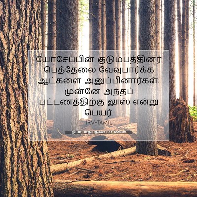 Picture 07 - நியாயாதிபதிகள் 1:23 TAMIRV - யோசேப்பின் - Bible Verse Picture