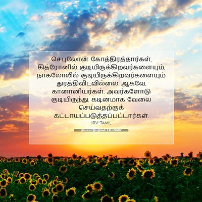 Picture 07 - நியாயாதிபதிகள் 1:30 TAMIRV - செபுலோன் - Bible Verse Picture