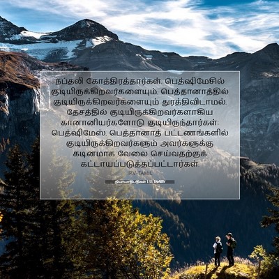 Picture 07 - நியாயாதிபதிகள் 1:33 TAMIRV - நப்தலி - Bible Verse Picture