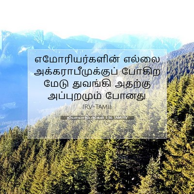 Picture 07 - நியாயாதிபதிகள் 1:36 TAMIRV - எமோரியர்களின் - Bible Verse Picture