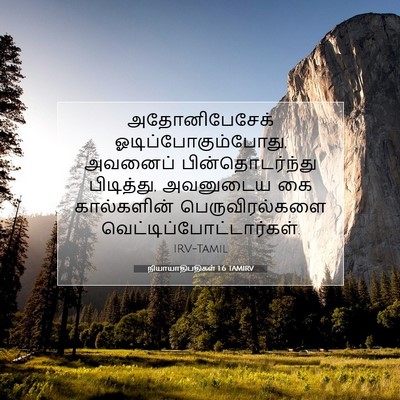 Picture 07 - நியாயாதிபதிகள் 1:6 TAMIRV - அதோனிபேசேக் - Bible Verse Picture
