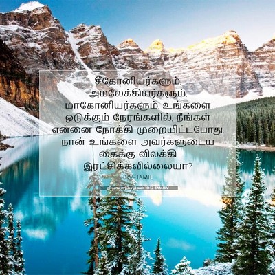 Picture 07 - நியாயாதிபதிகள் 10:12 TAMIRV - சீதோனியர்களும், - Bible Verse Picture