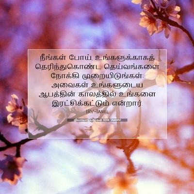 Picture 07 - நியாயாதிபதிகள் 10:14 TAMIRV - நீங்கள் போய், - Bible Verse Picture