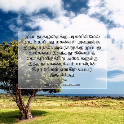 Picture 07 - நியாயாதிபதிகள் 10:4 TAMIRV - முப்பது - Bible Verse Picture