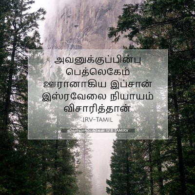 Picture 07 - நியாயாதிபதிகள் 12:8 TAMIRV - அவனுக்குப்பின்பு - Bible Verse Picture