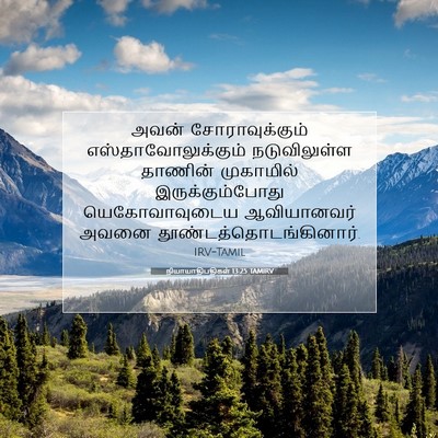 Picture 07 - நியாயாதிபதிகள் 13:25 TAMIRV - அவன் சோராவுக்கும் - Bible Verse Picture