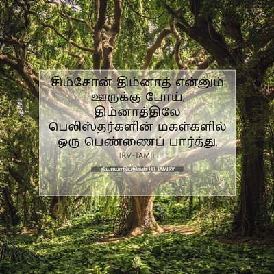 Picture 07 - நியாயாதிபதிகள் 14:1 TAMIRV - சிம்சோன் திம்னாத் - Bible Verse Picture