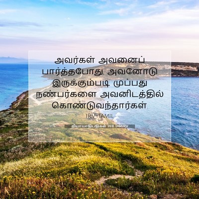 Picture 07 - நியாயாதிபதிகள் 14:11 TAMIRV - அவர்கள் அவனைப் - Bible Verse Picture