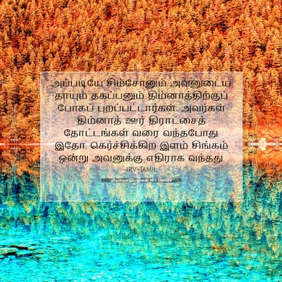 Picture 07 - நியாயாதிபதிகள் 14:5 TAMIRV - அப்படியே - Bible Verse Picture