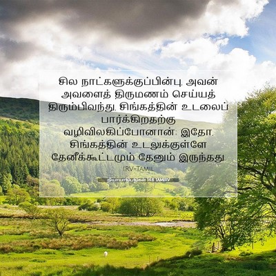 Picture 07 - நியாயாதிபதிகள் 14:8 TAMIRV - சில - Bible Verse Picture