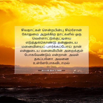 Picture 07 - நியாயாதிபதிகள் 15:1 TAMIRV - சிலநாட்கள் - Bible Verse Picture