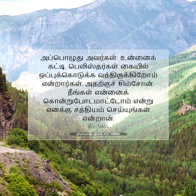 Picture 07 - நியாயாதிபதிகள் 15:12 TAMIRV - அப்பொழுது - Bible Verse Picture