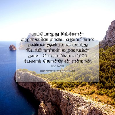 Picture 07 - நியாயாதிபதிகள் 15:16 TAMIRV - அப்பொழுது - Bible Verse Picture