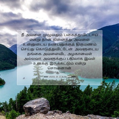 Picture 07 - நியாயாதிபதிகள் 15:2 TAMIRV - நீ அவளை முழுவதும் - Bible Verse Picture