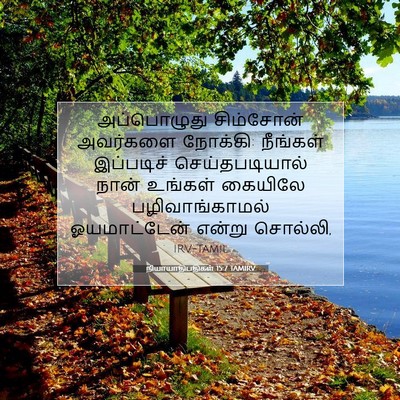 Picture 07 - நியாயாதிபதிகள் 15:7 TAMIRV - அப்பொழுது - Bible Verse Picture