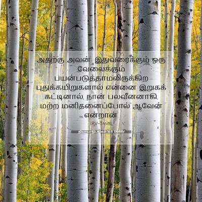 Picture 07 - நியாயாதிபதிகள் 16:11 TAMIRV - அதற்கு அவன்: - Bible Verse Picture