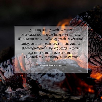 Picture 07 - நியாயாதிபதிகள் 16:14 TAMIRV - அப்படியே அவள் - Bible Verse Picture