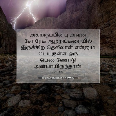 Picture 07 - நியாயாதிபதிகள் 16:4 TAMIRV - அதற்குப்பின்பு - Bible Verse Picture