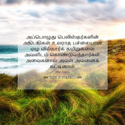 Picture 07 - நியாயாதிபதிகள் 16:8 TAMIRV - அப்பொழுது - Bible Verse Picture