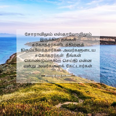 Picture 07 - நியாயாதிபதிகள் 18:8 TAMIRV - சோராவிலும் - Bible Verse Picture