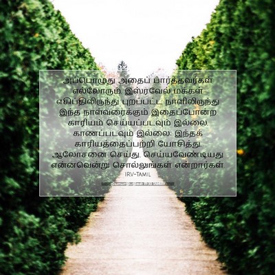 Picture 07 - நியாயாதிபதிகள் 19:30 TAMIRV - அப்பொழுது அதைப் - Bible Verse Picture