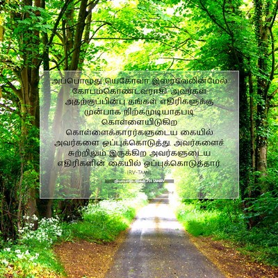 Picture 07 - நியாயாதிபதிகள் 2:14 TAMIRV - அப்பொழுது யெகோவா - Bible Verse Picture