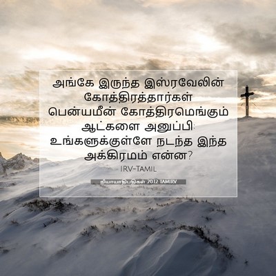 Picture 07 - நியாயாதிபதிகள் 20:12 TAMIRV - அங்கே இருந்த - Bible Verse Picture