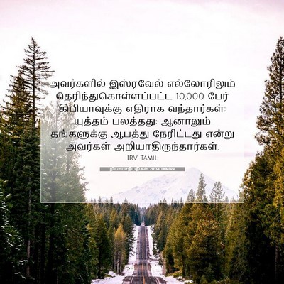 Picture 07 - நியாயாதிபதிகள் 20:34 TAMIRV - அவர்களில் - Bible Verse Picture