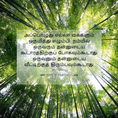 Picture 07 - நியாயாதிபதிகள் 20:8 TAMIRV - அப்பொழுது எல்லா - Bible Verse Picture