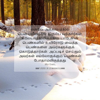 Picture 07 - நியாயாதிபதிகள் 21:14 TAMIRV - எனவே, - Bible Verse Picture