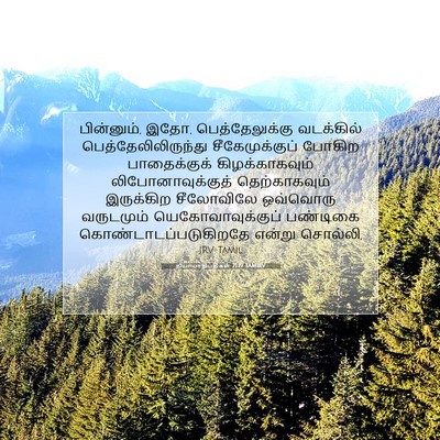 Picture 07 - நியாயாதிபதிகள் 21:19 TAMIRV - பின்னும், இதோ, - Bible Verse Picture
