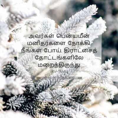 Picture 07 - நியாயாதிபதிகள் 21:20 TAMIRV - அவர்கள் பென்யமீன் - Bible Verse Picture