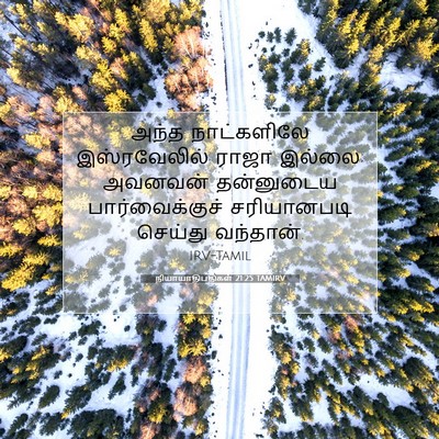 Picture 07 - நியாயாதிபதிகள் 21:25 TAMIRV - அந்த நாட்களிலே - Bible Verse Picture