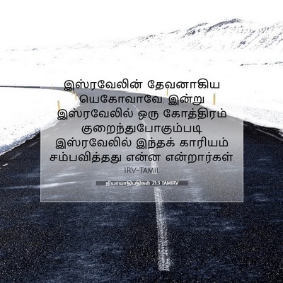 Picture 07 - நியாயாதிபதிகள் 21:3 TAMIRV - இஸ்ரவேலின் - Bible Verse Picture