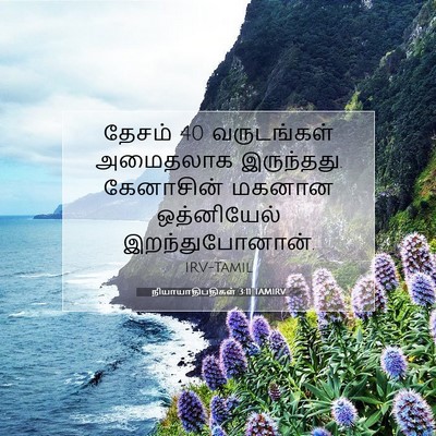 Picture 07 - நியாயாதிபதிகள் 3:11 TAMIRV - தேசம் 40 வருடங்கள் - Bible Verse Picture