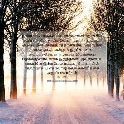 Picture 07 - நியாயாதிபதிகள் 3:15 TAMIRV - இஸ்ரவேல் மக்கள் - Bible Verse Picture