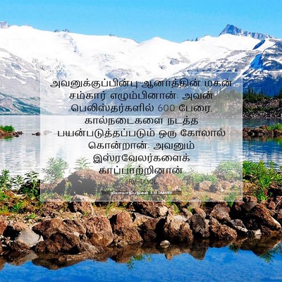 Picture 07 - நியாயாதிபதிகள் 3:31 TAMIRV - அவனுக்குப்பின்பு - Bible Verse Picture