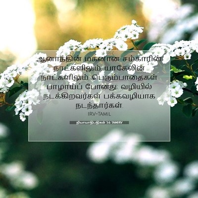 Picture 07 - நியாயாதிபதிகள் 5:6 TAMIRV - ஆனாத்தின் மகனான - Bible Verse Picture