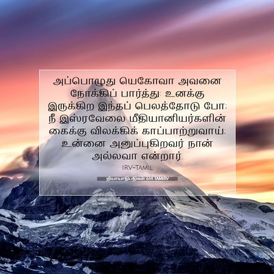 Picture 07 - நியாயாதிபதிகள் 6:14 TAMIRV - அப்பொழுது யெகோவா - Bible Verse Picture