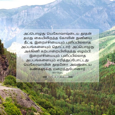Picture 07 - நியாயாதிபதிகள் 6:21 TAMIRV - அப்பொழுது - Bible Verse Picture