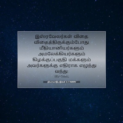 Picture 07 - நியாயாதிபதிகள் 6:3 TAMIRV - இஸ்ரவேலர்கள் விதை - Bible Verse Picture