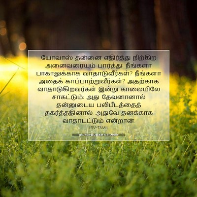 Picture 07 - நியாயாதிபதிகள் 6:31 TAMIRV - யோவாஸ் தன்னை - Bible Verse Picture