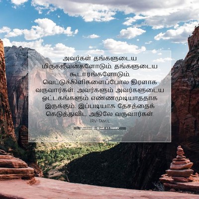 Picture 07 - நியாயாதிபதிகள் 6:5 TAMIRV - அவர்கள் தங்களுடைய - Bible Verse Picture