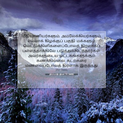 Picture 07 - நியாயாதிபதிகள் 7:12 TAMIRV - மீதியானியர்களும், - Bible Verse Picture