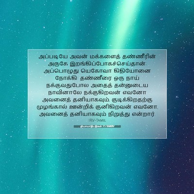 Picture 07 - நியாயாதிபதிகள் 7:5 TAMIRV - அப்படியே அவன் - Bible Verse Picture