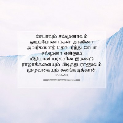 Picture 07 - நியாயாதிபதிகள் 8:12 TAMIRV - சேபாவும் - Bible Verse Picture